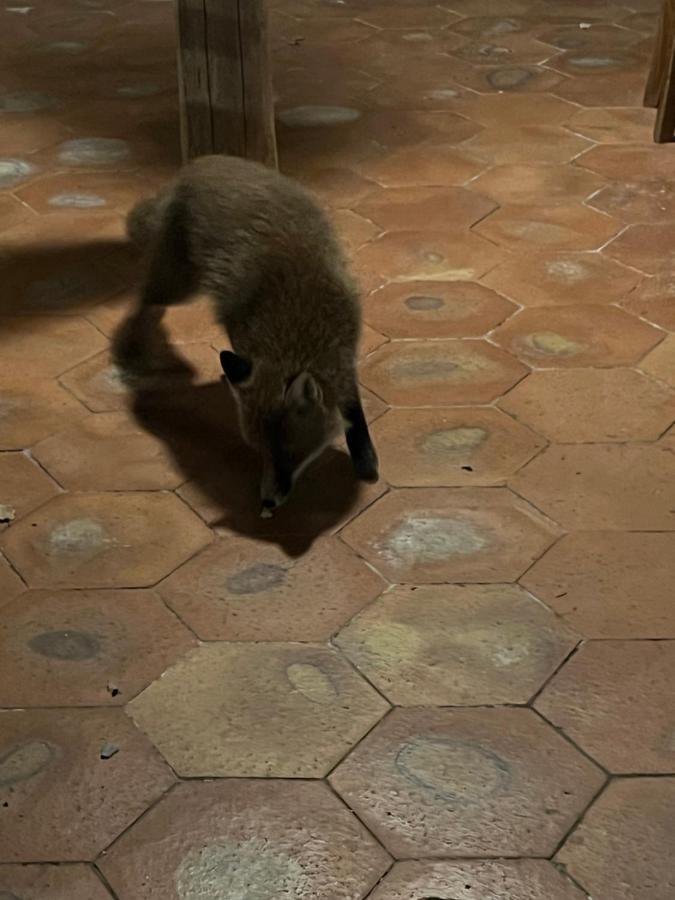 Il Frutteto Di Efesto Villa Biancavilla Bagian luar foto