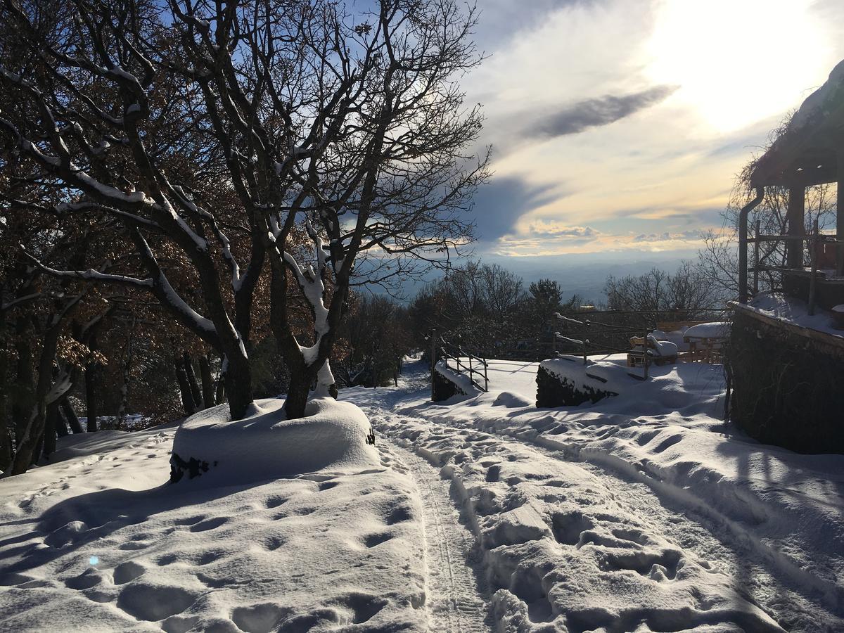 Il Frutteto Di Efesto Villa Biancavilla Bagian luar foto